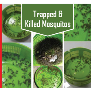 unik mosquito trap