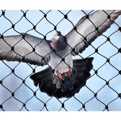 anti birds nets hyderabad